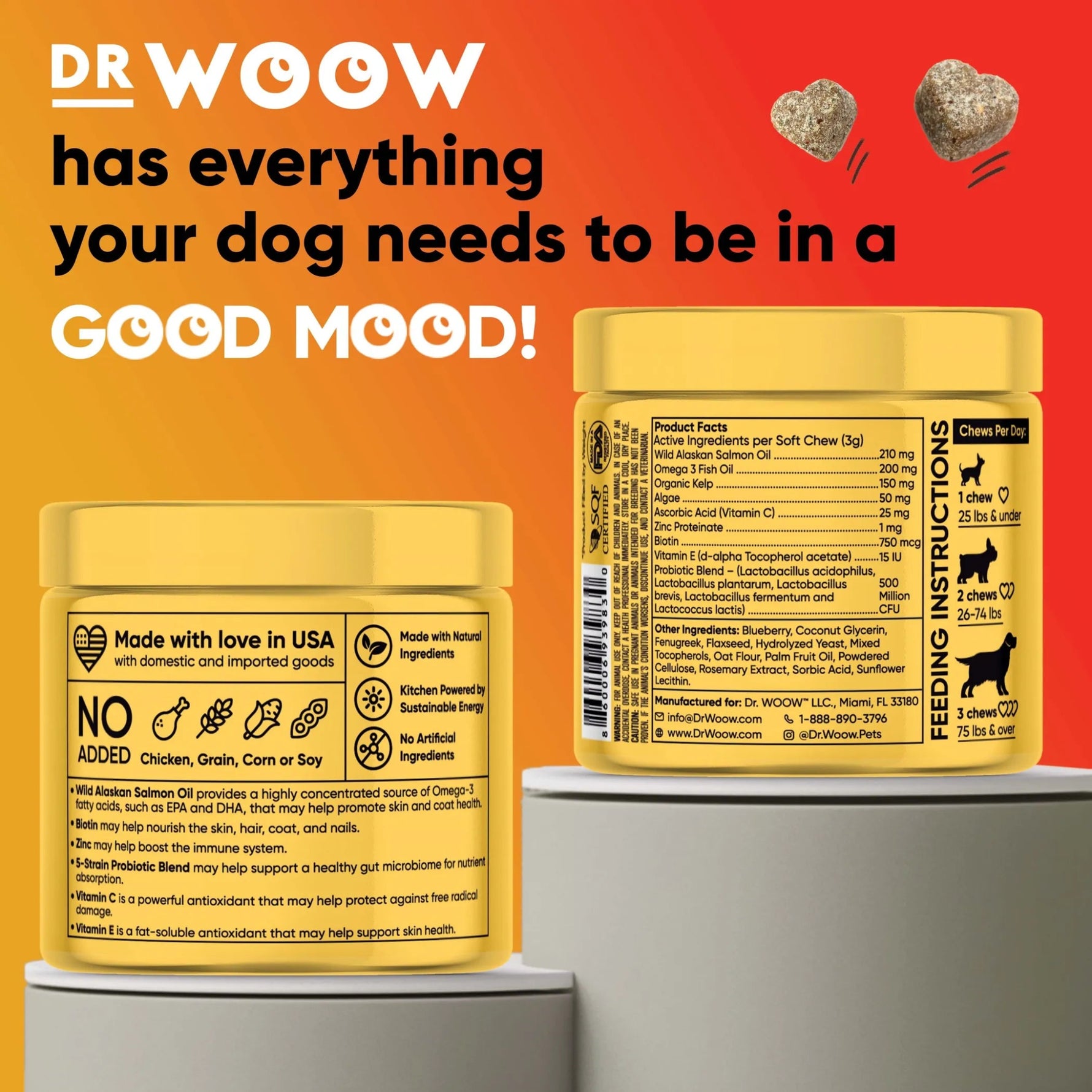 Dr Woow Skin and Coat Soft Chews-AMAZON FACTORY