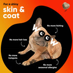 Dr Woow Skin and Coat Soft Chews-AMAZON FACTORY
