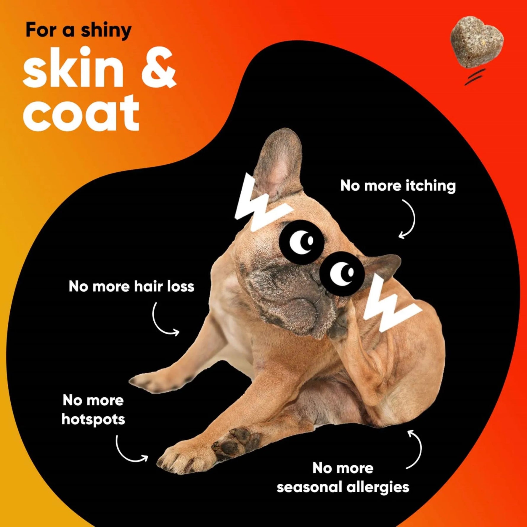 Dr Woow Skin and Coat Soft Chews-AMAZON FACTORY