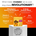 Dr Woow Skin and Coat Soft Chews-AMAZON FACTORY