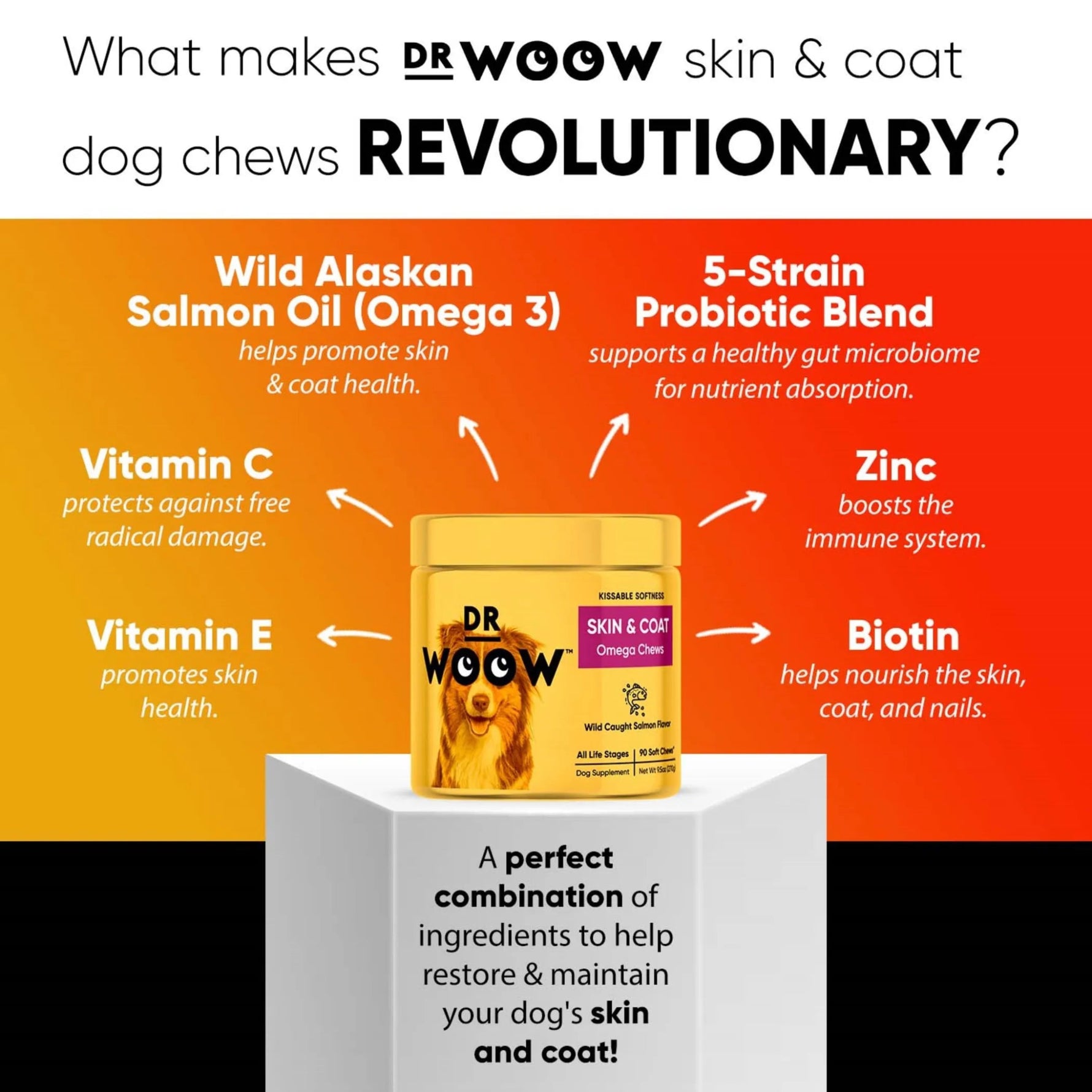 Dr Woow Skin and Coat Soft Chews-AMAZON FACTORY