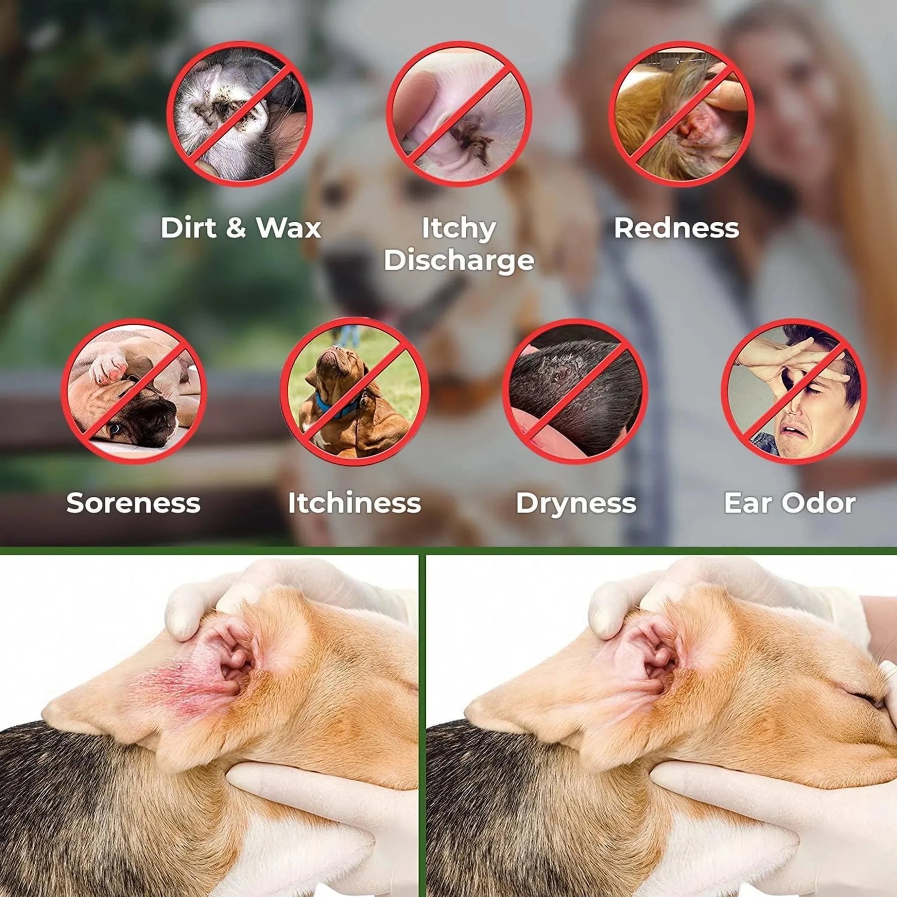 Ear Cleaner Wipes by Arava for Dogs-AMAZON FACTORY