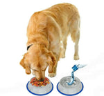 Etched Stainless Steel Dog Bowls with Blue Silicone Base - AMAZON FACTORY