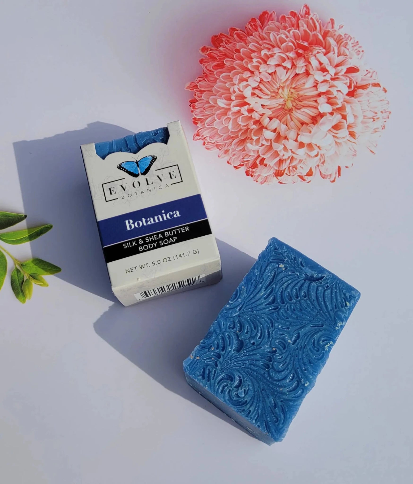 Evolve Botanica - Bath Bomb Seasonal/Spring (Pack of 6)-AMAZON FACTORY