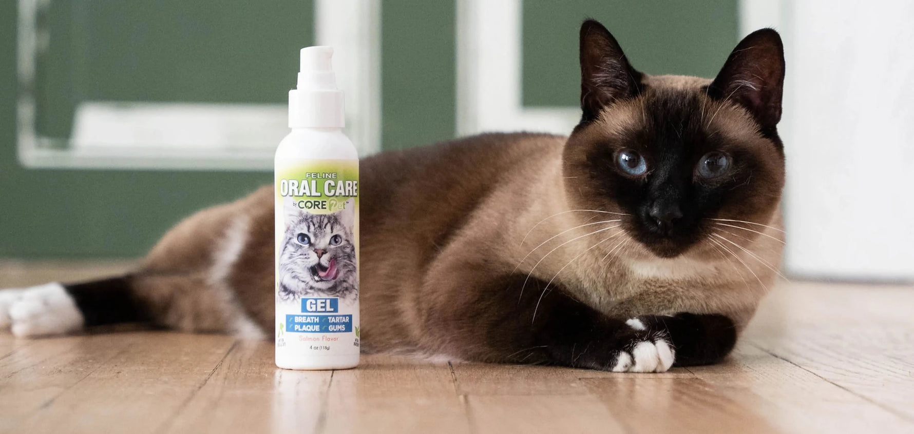 Feline Salmon Gel-AMAZON FACTORY