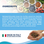 Forza10 Active Colon Support Diet Phase 1 Dry Dog Food - AMAZON FACTORY