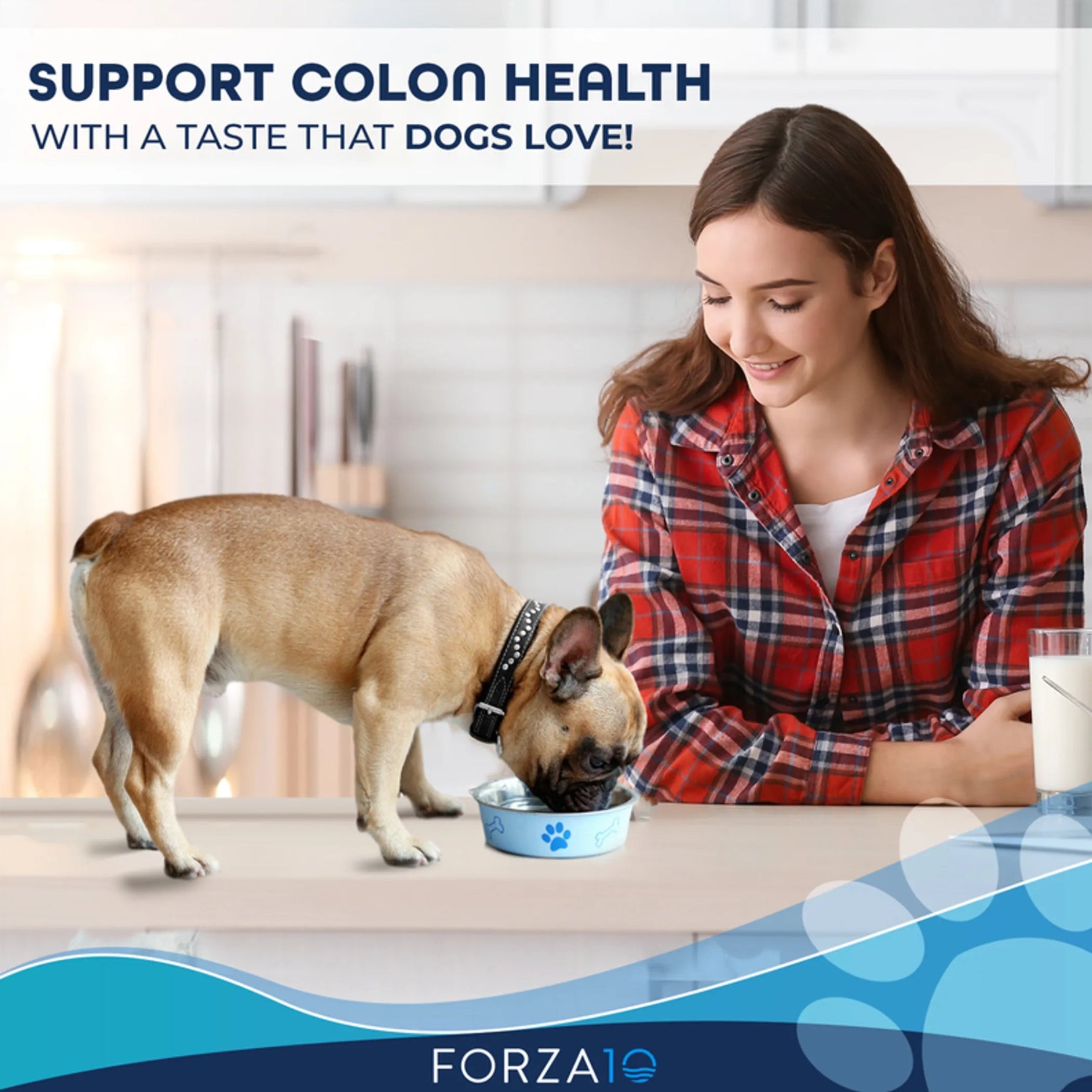 Forza10 Active Colon Support Diet Phase 1 Dry Dog Food - AMAZON FACTORY