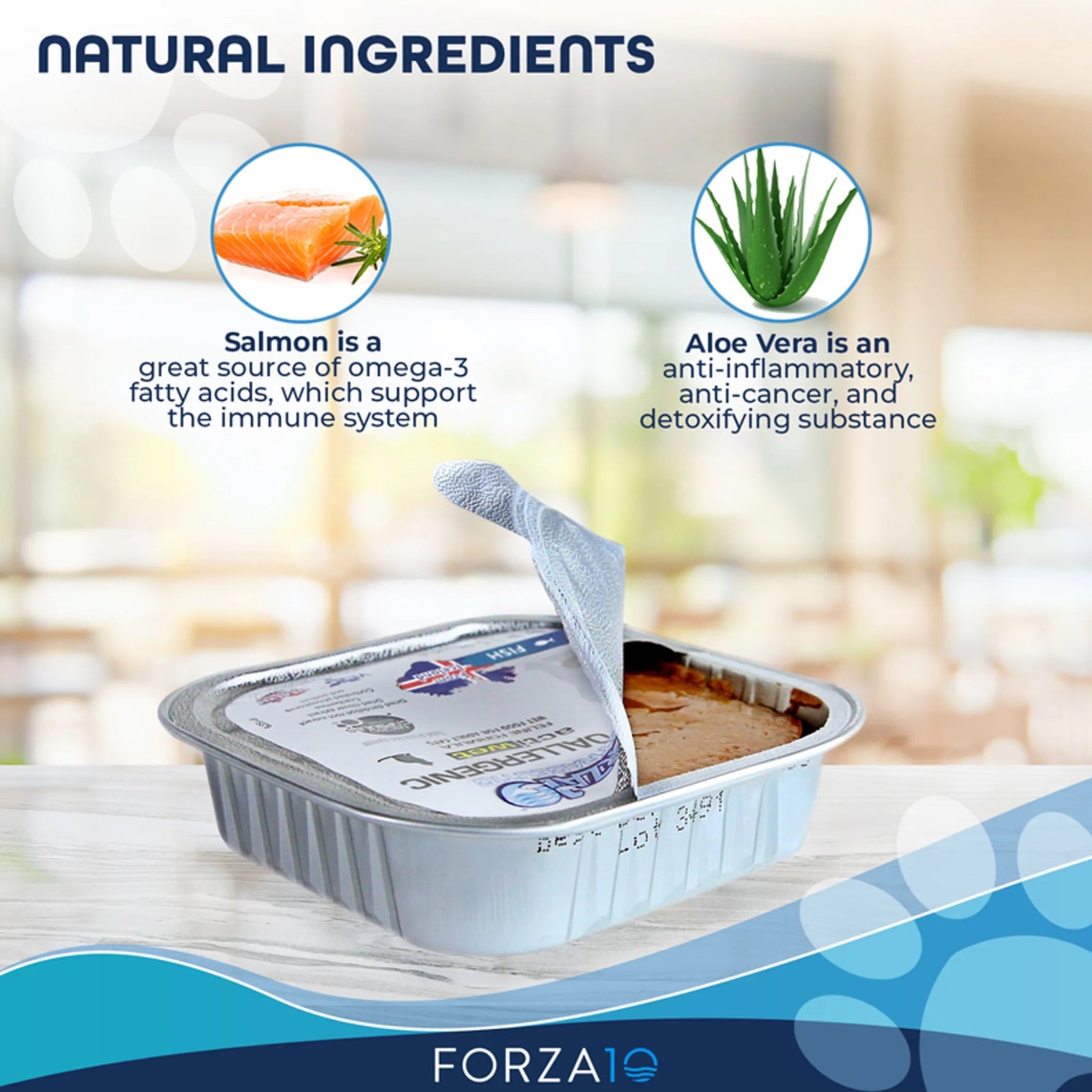 Forza10 Actiwet Hypoallergenic Icelandic Fish Recipe Canned Dog Food-AMAZON FACTORY