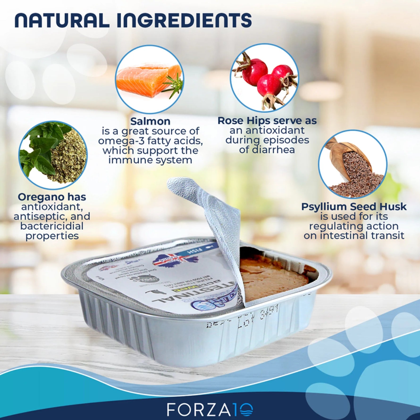Forza10 Actiwet Intestinal Support Icelandic Fish Recipe Canned Dog Food-AMAZON FACTORY