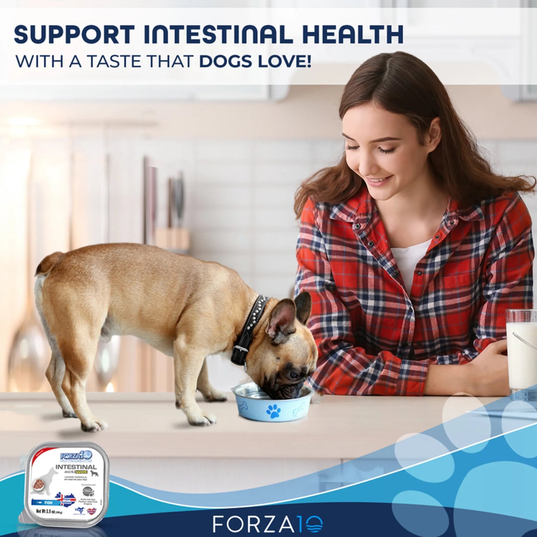 Forza10 Actiwet Intestinal Support Icelandic Fish Recipe Canned Dog Food-AMAZON FACTORY