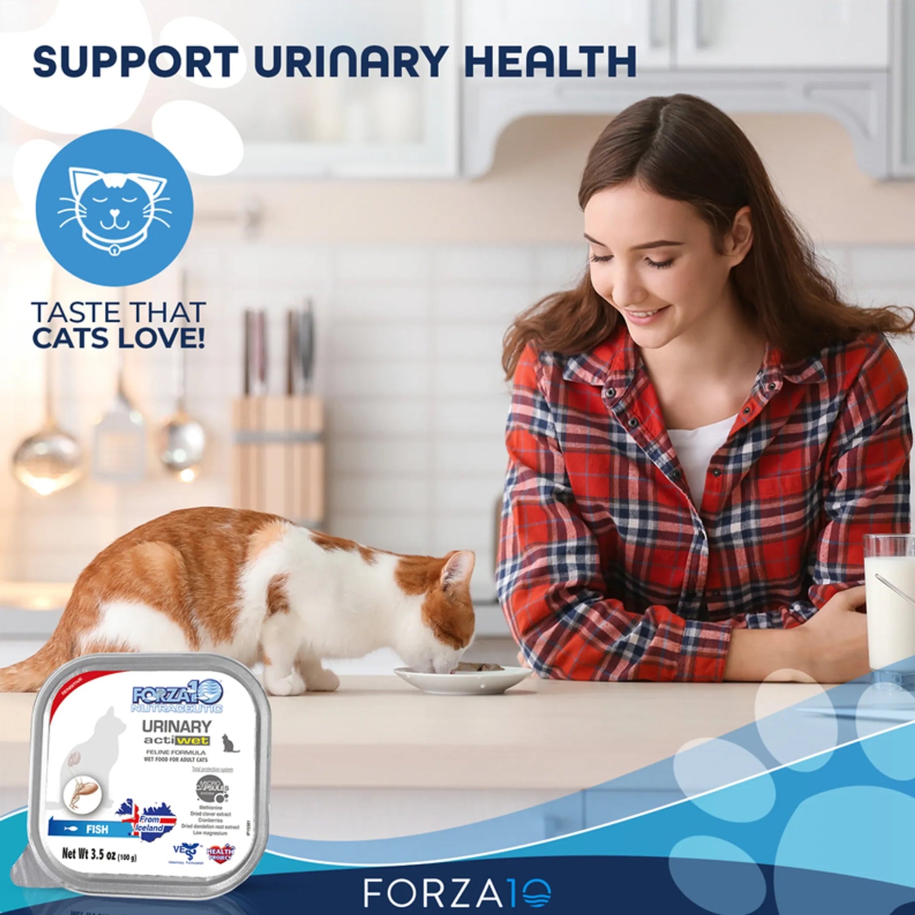 Forza10 Actiwet Urinary Support Icelandic Fish Recipe Canned Cat Food-AMAZON FACTORY