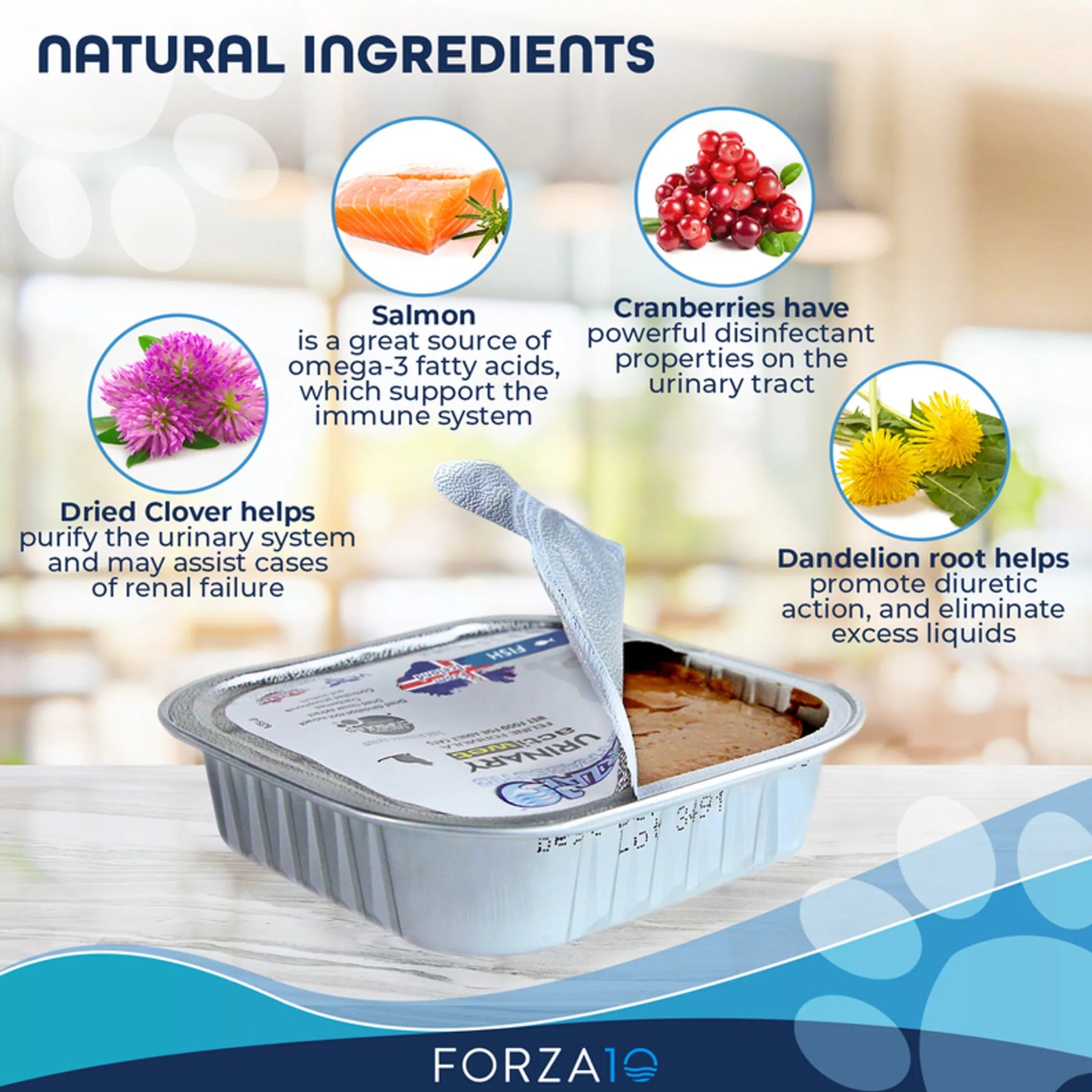 Forza10 Actiwet Urinary Support Icelandic Fish Recipe Canned Cat Food-AMAZON FACTORY