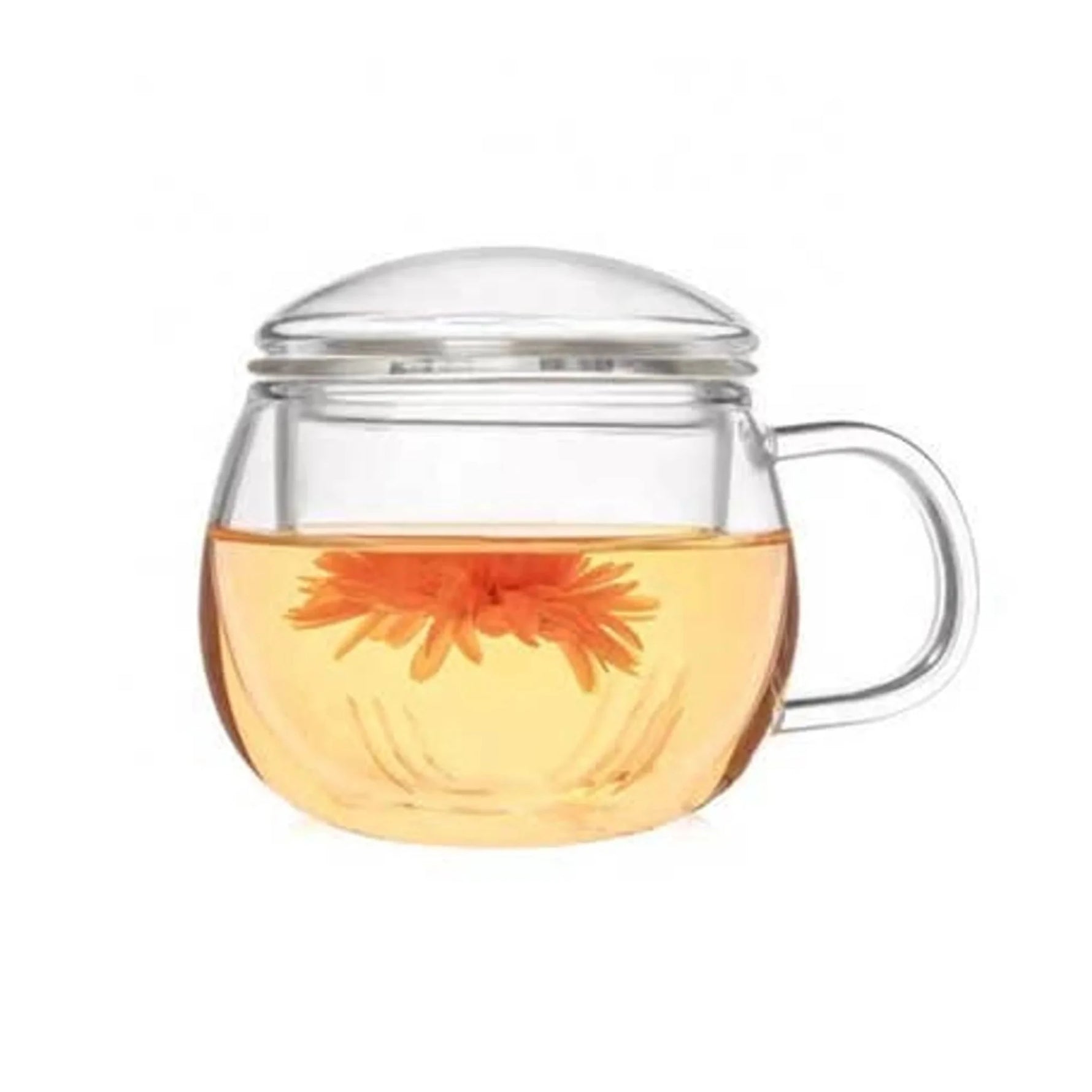 Glass Teacup With Infuser & Lid (10oz.)-AMAZON FACTORY