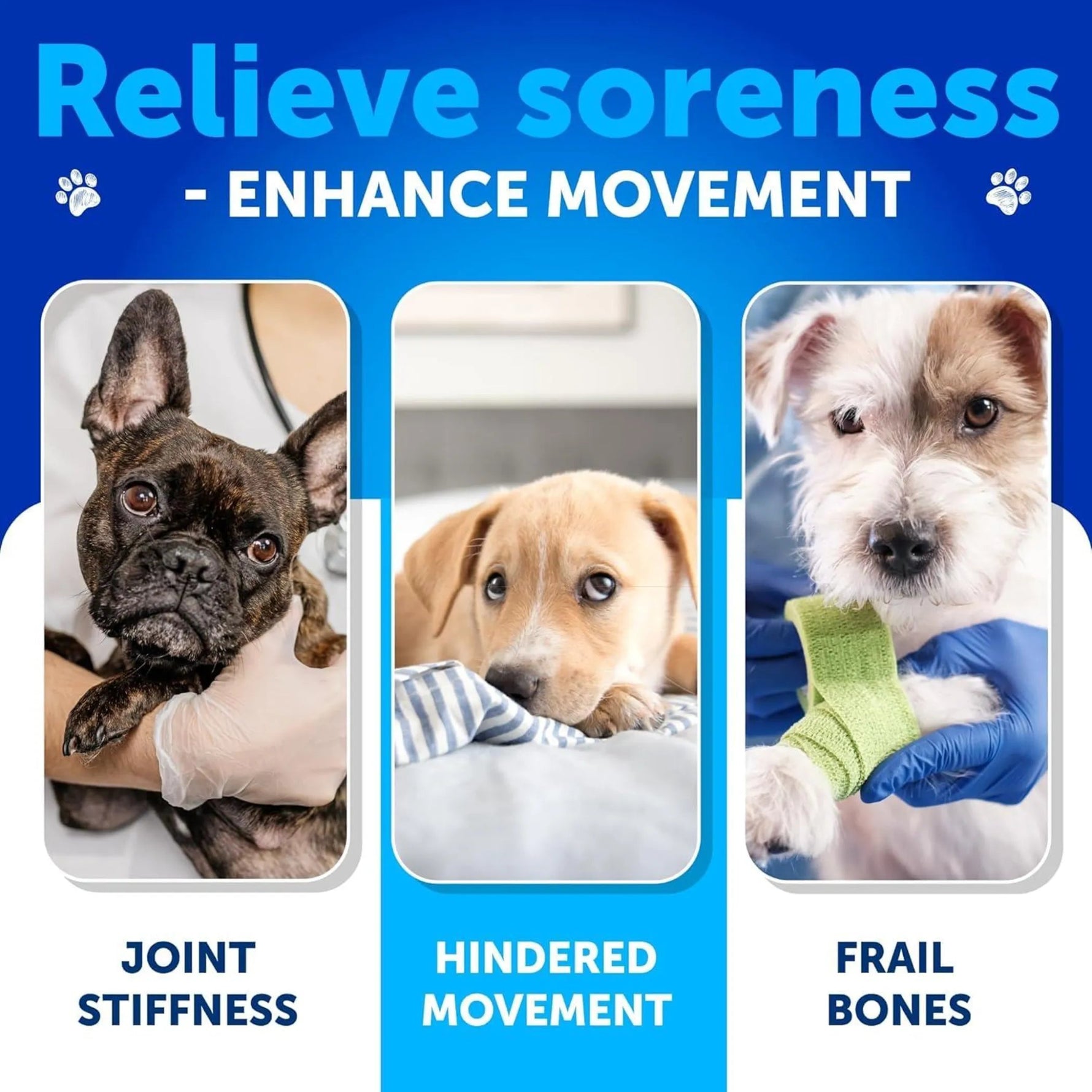 Glucosamine for Dogs Hip and Joint Supplement - AMAZON FACTORY