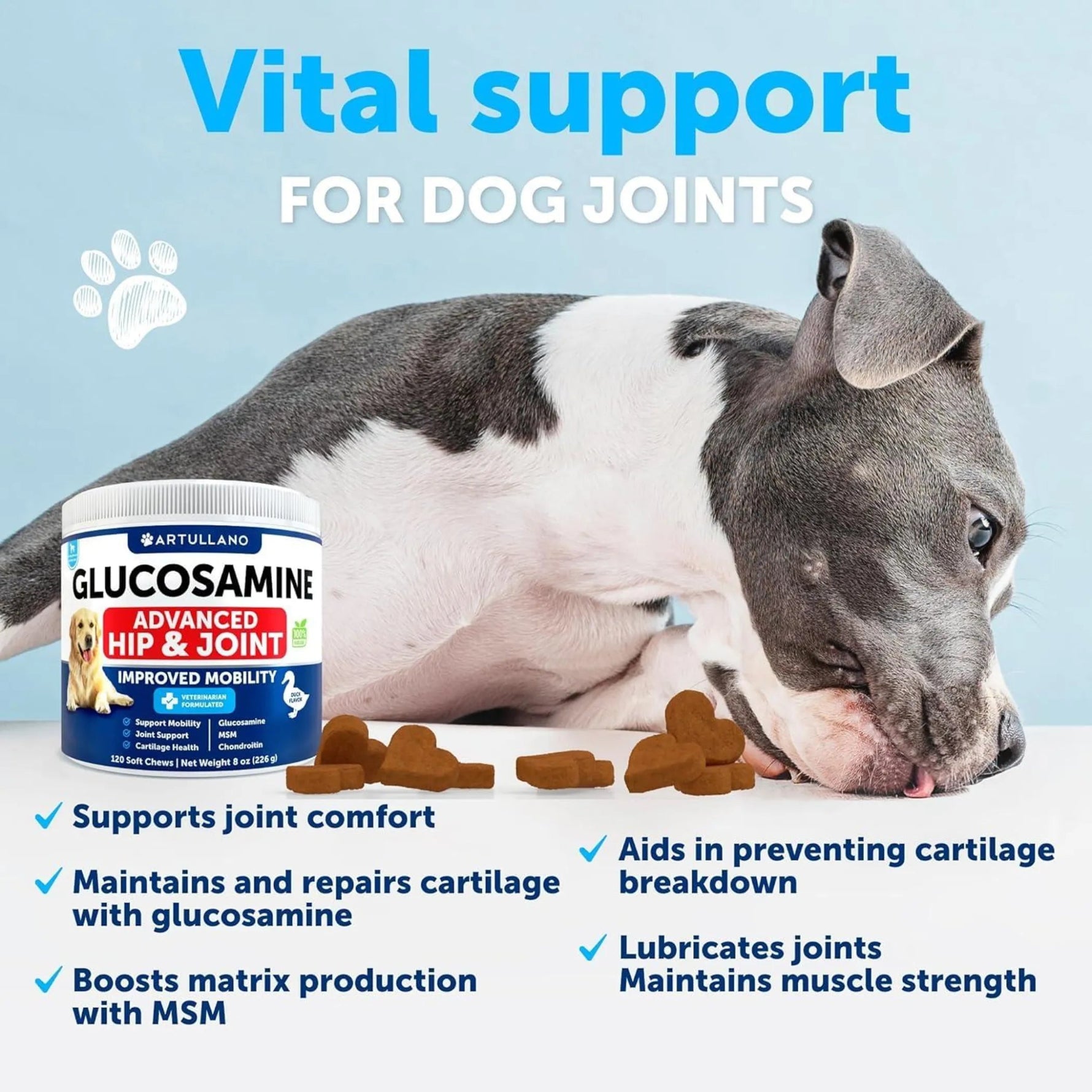 Glucosamine for Dogs Hip and Joint Supplement - AMAZON FACTORY