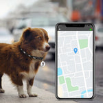 Gps Tracker For Cats Dogs Long Distance Smart Bluetooth Mini Waterproof Gps Tracker Collar For Pets Anti-Lost Android Ios Phone-AMAZON FACTORY