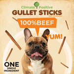 Gullet Sticks 100% Natural Beef Esophagus Dog Chews - AMAZON FACTORY