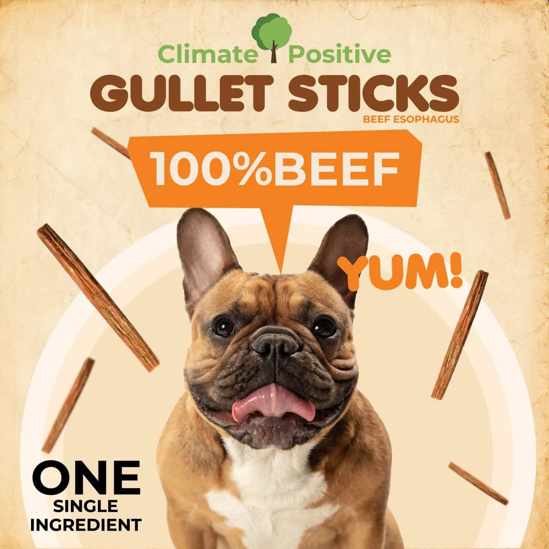 Gullet Sticks 100% Natural Beef Esophagus Dog Chews - AMAZON FACTORY