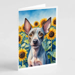 In Sunflowers Greeting Cards - Size: 5X7 | Pack Of: 1 | Collection name: In sunflowers-AMAZON FACTORY