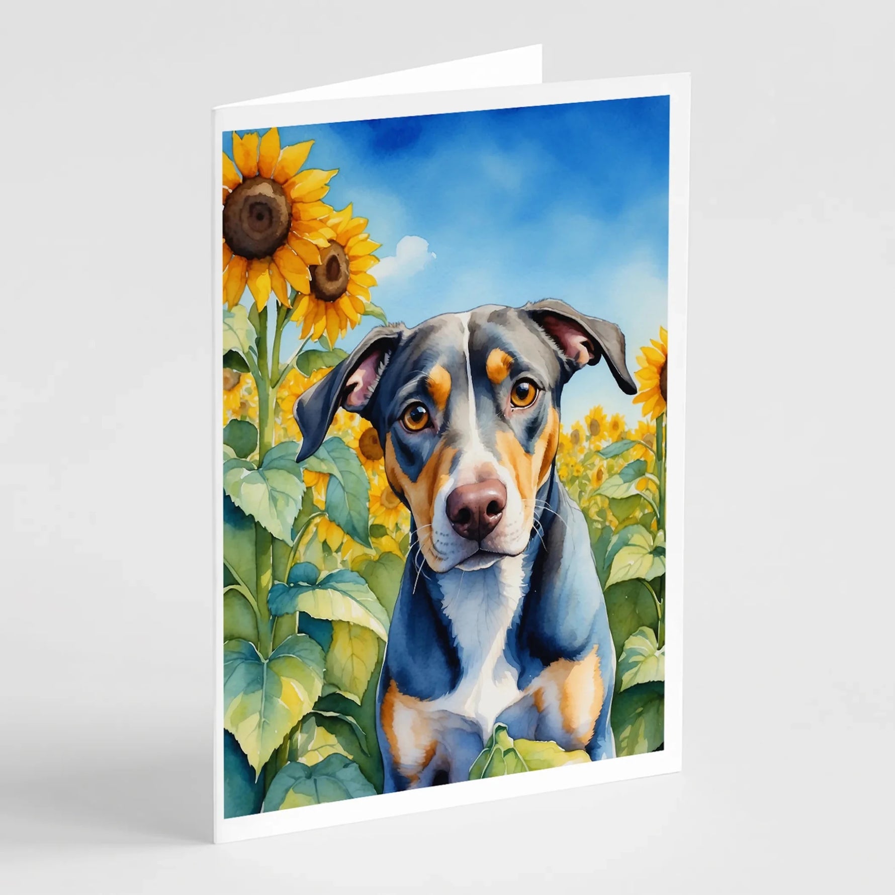 In Sunflowers Greeting Cards - Size: 5X7 | Pack Of: 1 | Collection name: In sunflowers-AMAZON FACTORY