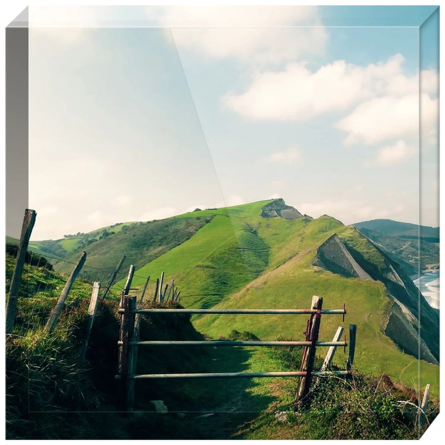 Joseph Regan Art Acrylic Blocks - Pack Of: 1 - AMAZON FACTORY