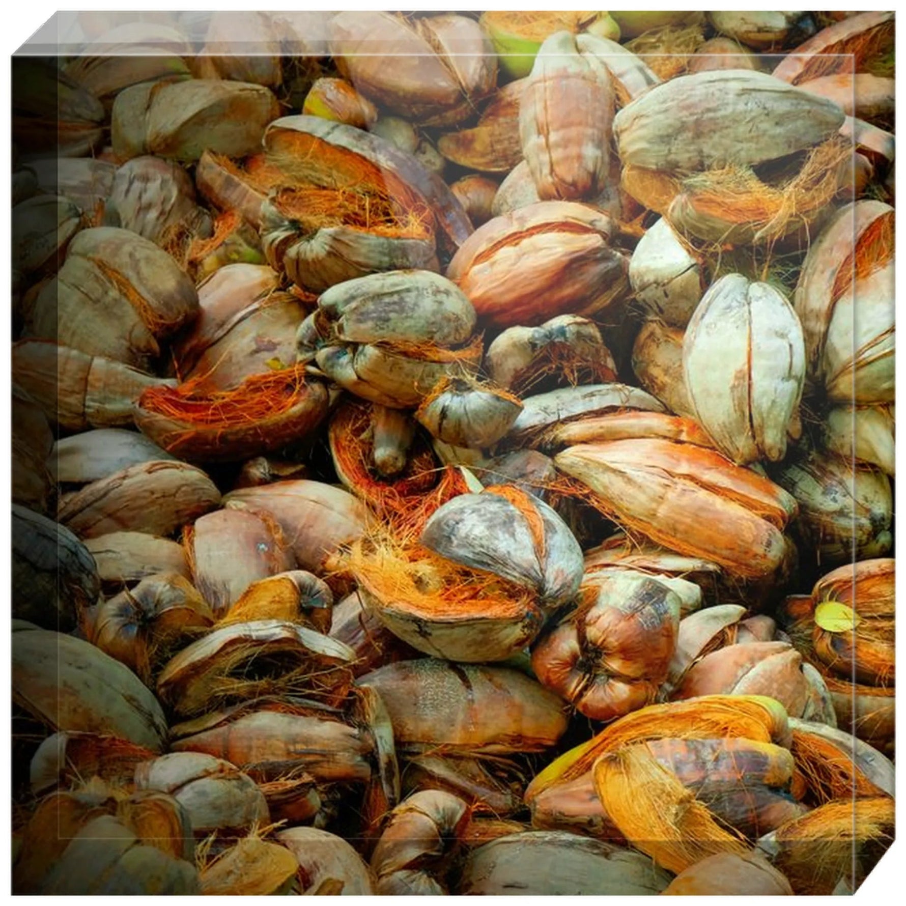 Joseph Regan Art Acrylic Blocks - Pack Of: 1 - AMAZON FACTORY