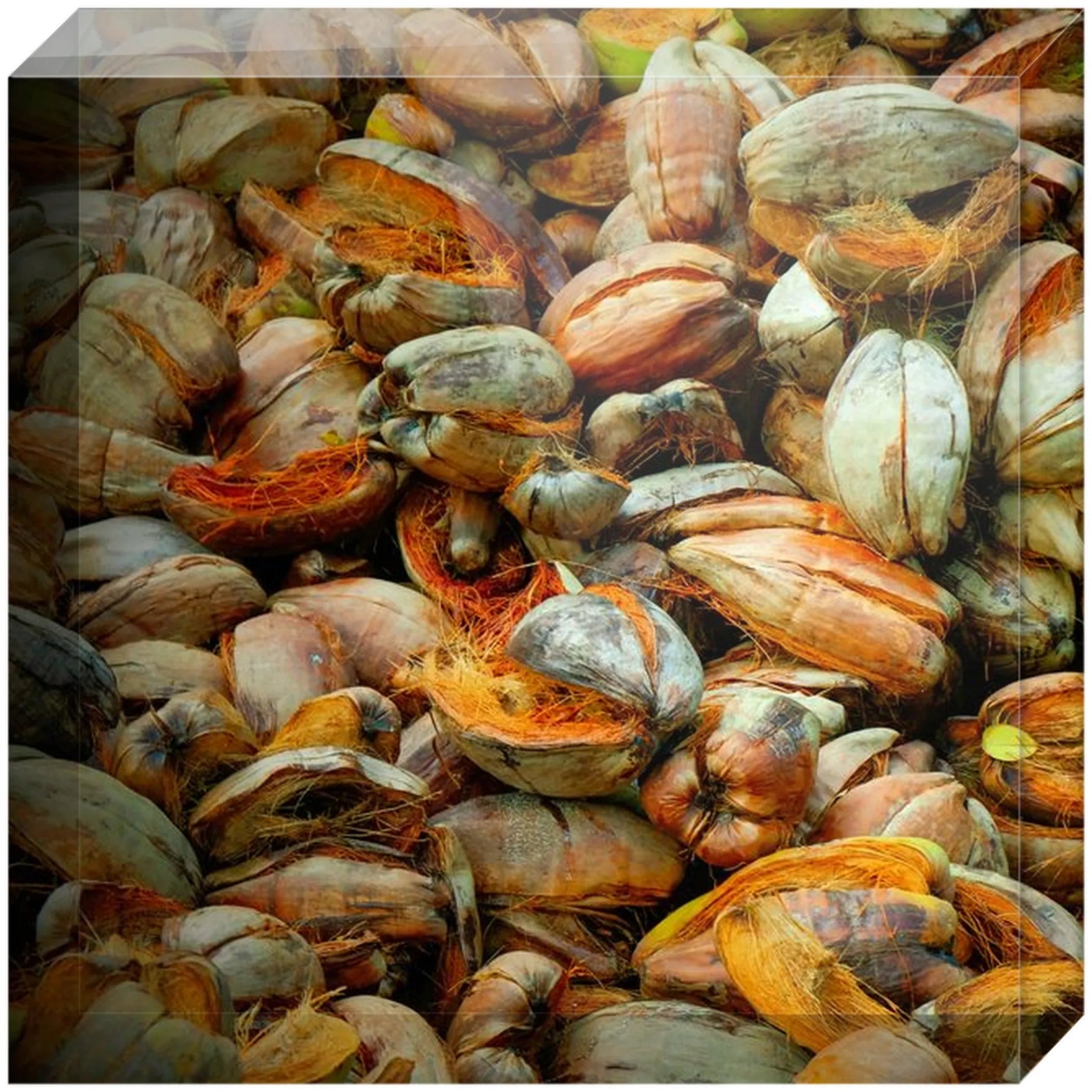 Joseph Regan Art Acrylic Blocks - Pack Of: 1 - AMAZON FACTORY