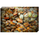 Joseph Regan Art Acrylic Blocks - Pack Of: 1 - AMAZON FACTORY