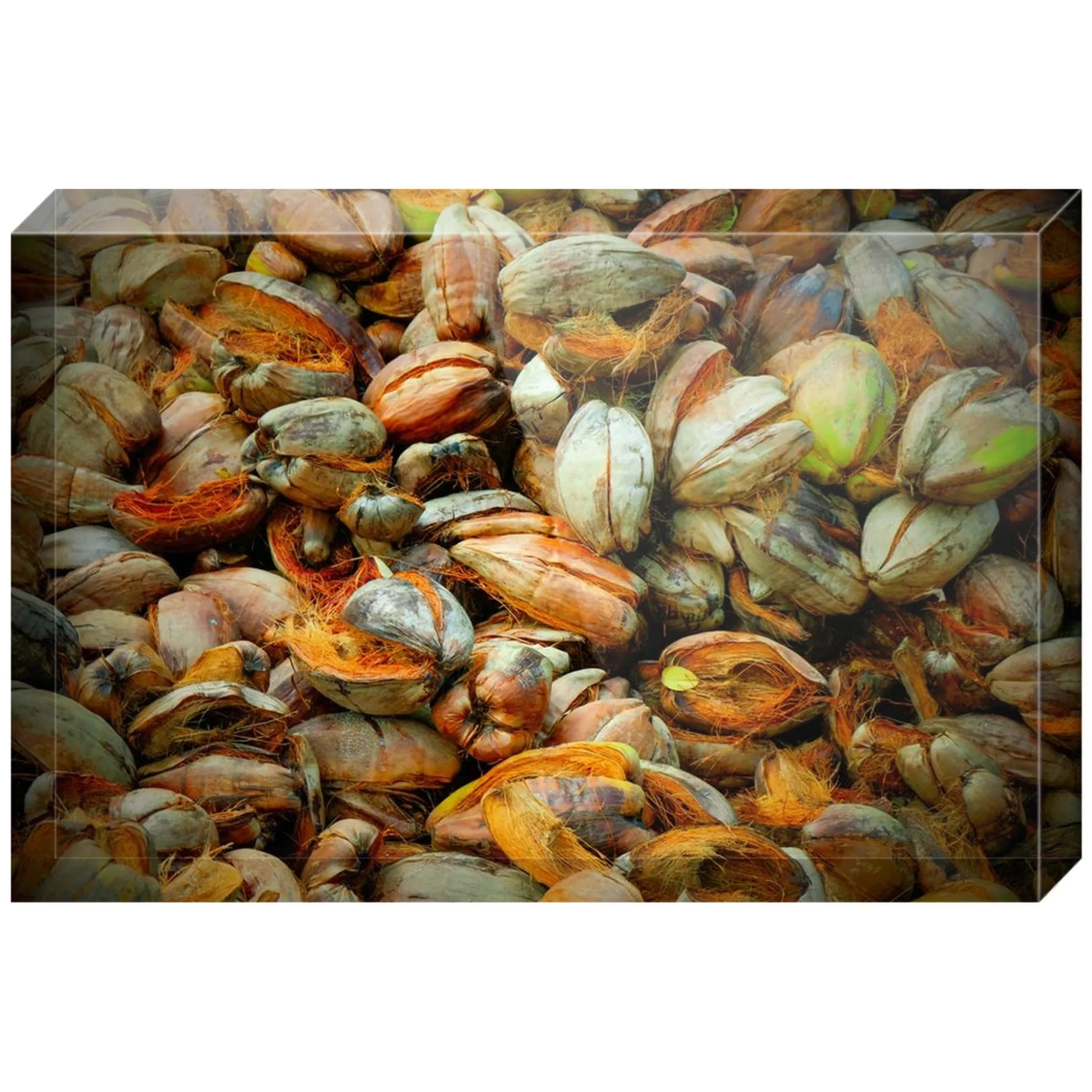 Joseph Regan Art Acrylic Blocks - Pack Of: 1 - AMAZON FACTORY