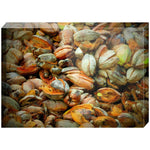 Joseph Regan Art Acrylic Blocks - Pack Of: 1 - AMAZON FACTORY