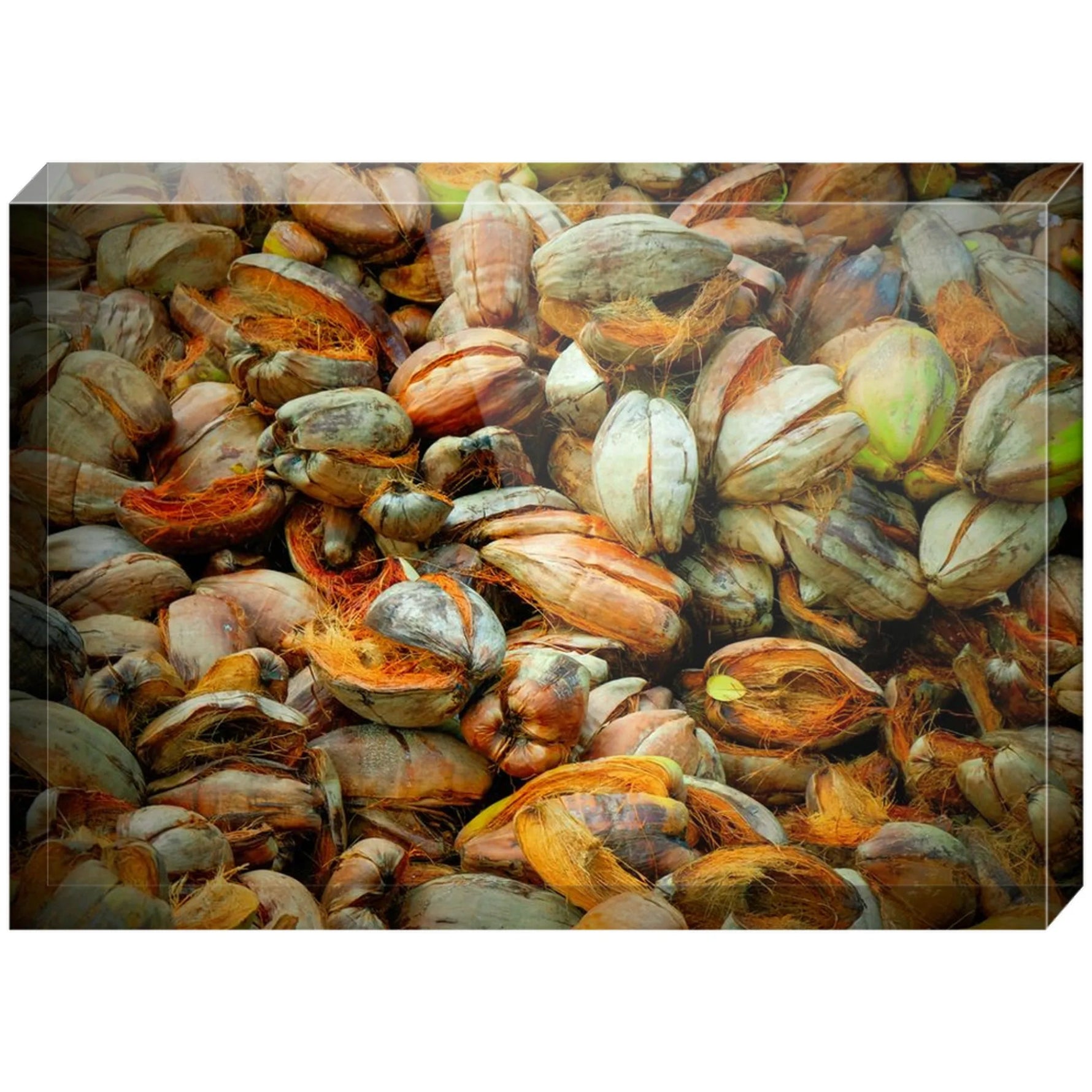 Joseph Regan Art Acrylic Blocks - Pack Of: 1 - AMAZON FACTORY