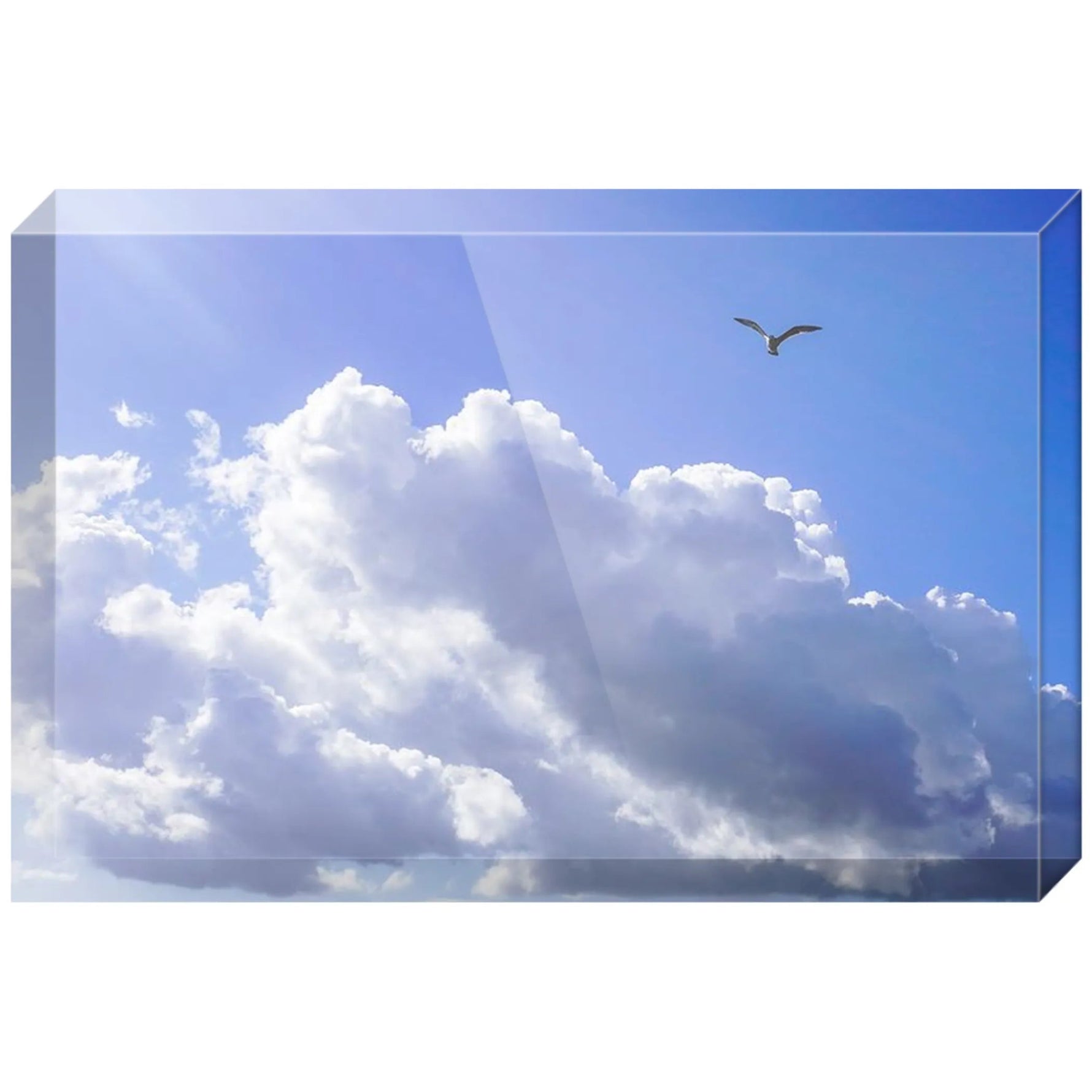 Joseph Regan Art Acrylic Blocks - Pack Of: 1 - AMAZON FACTORY