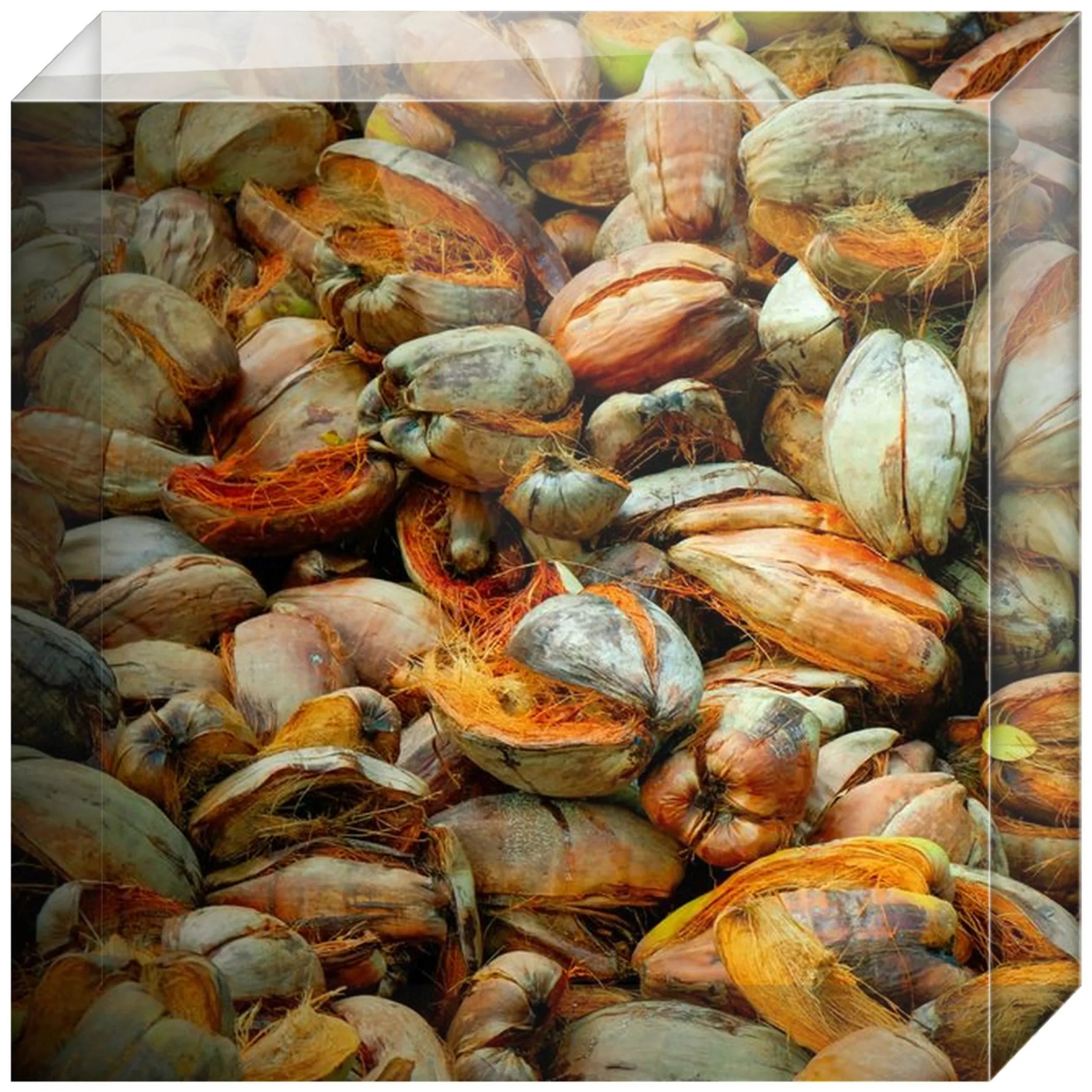 Joseph Regan Art Acrylic Blocks - Pack Of: 1 - AMAZON FACTORY