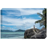 Joseph Regan Art Acrylic Blocks - Pack Of: 1 - AMAZON FACTORY