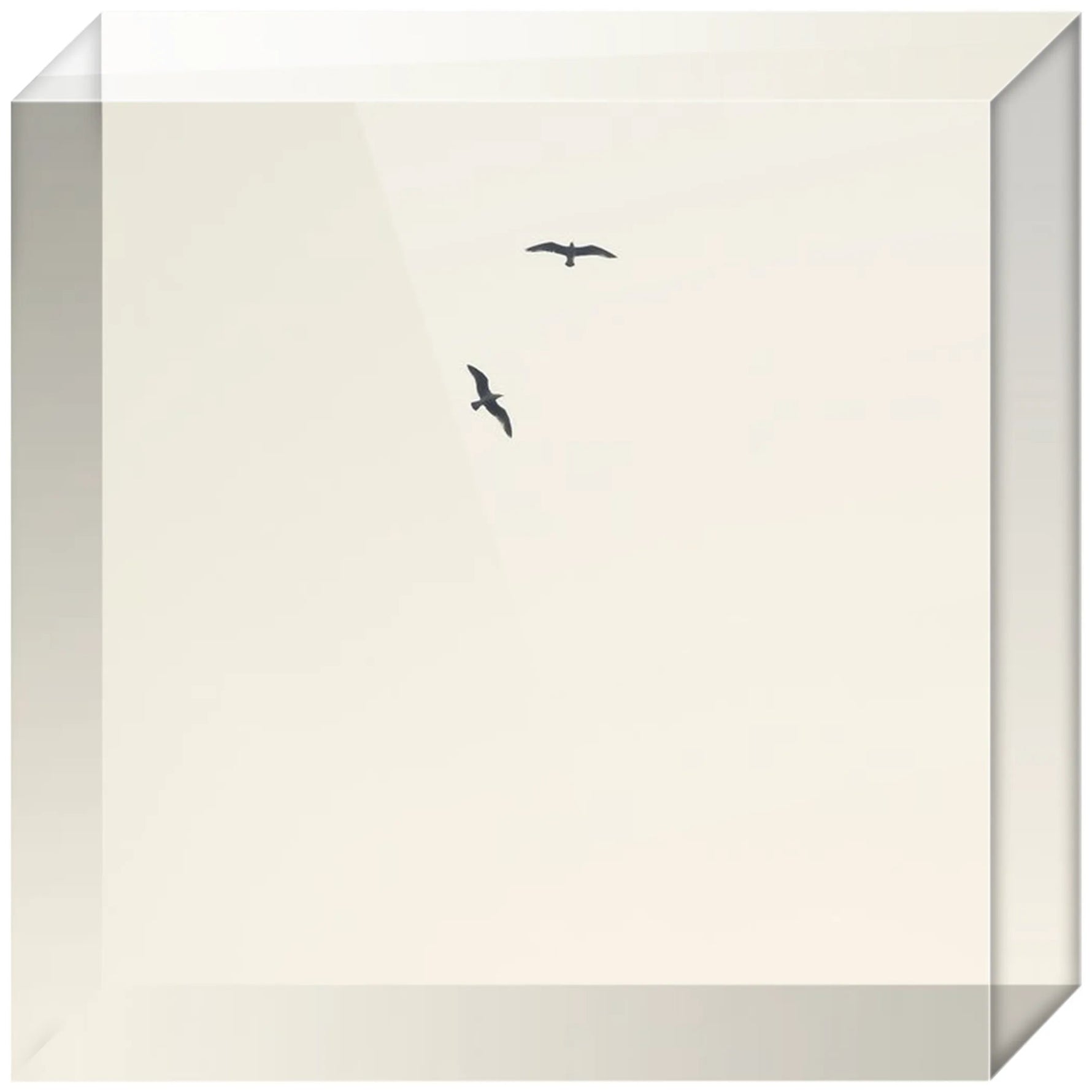 Joseph Regan Art Acrylic Blocks - Pack Of: 1 - AMAZON FACTORY