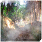 Joseph Regan Art Acrylic Blocks - Pack Of: 1 - AMAZON FACTORY