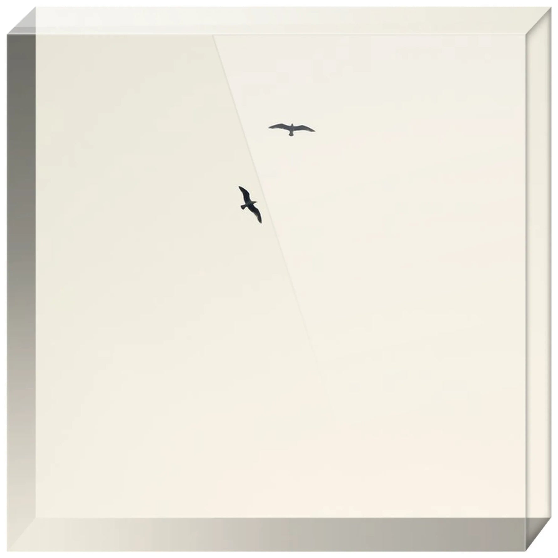 Joseph Regan Art Acrylic Blocks - Pack Of: 1 - AMAZON FACTORY