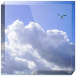 Joseph Regan Art Acrylic Blocks - Pack Of: 1 - AMAZON FACTORY