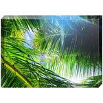 Joseph Regan Art Acrylic Blocks - Pack Of: 1 - AMAZON FACTORY