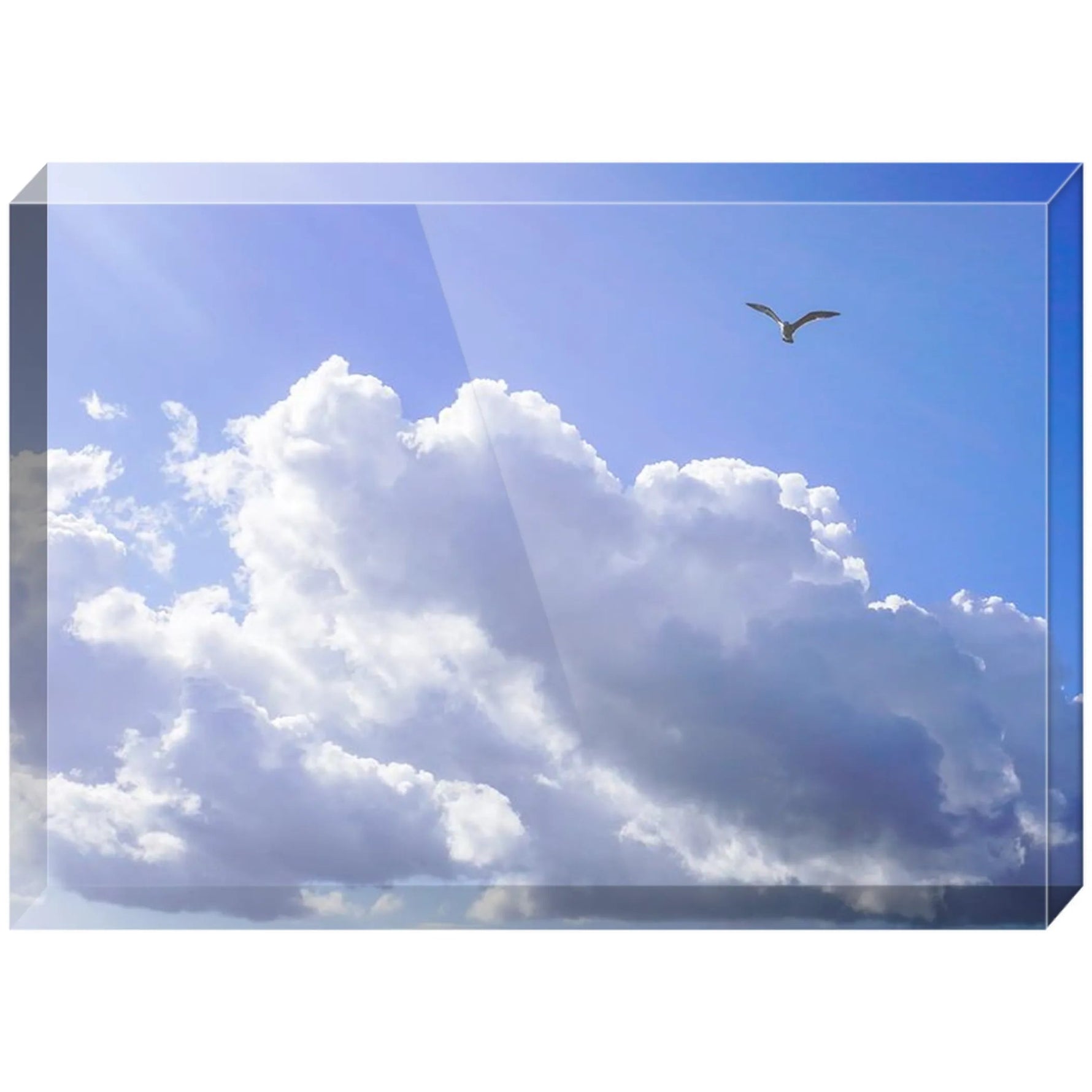 Joseph Regan Art Acrylic Blocks - Pack Of: 1 - AMAZON FACTORY