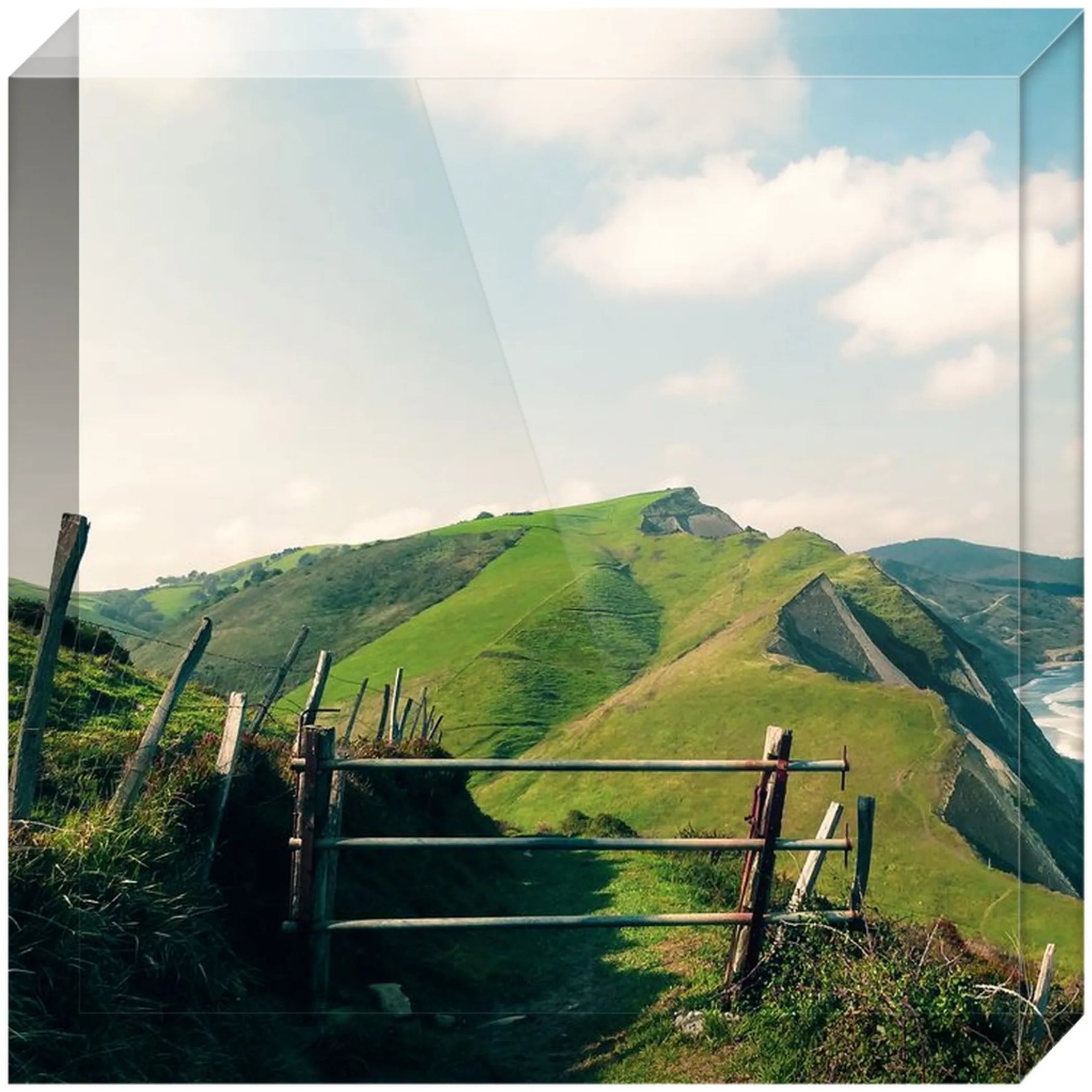 Joseph Regan Art Acrylic Blocks - Pack Of: 1 - AMAZON FACTORY