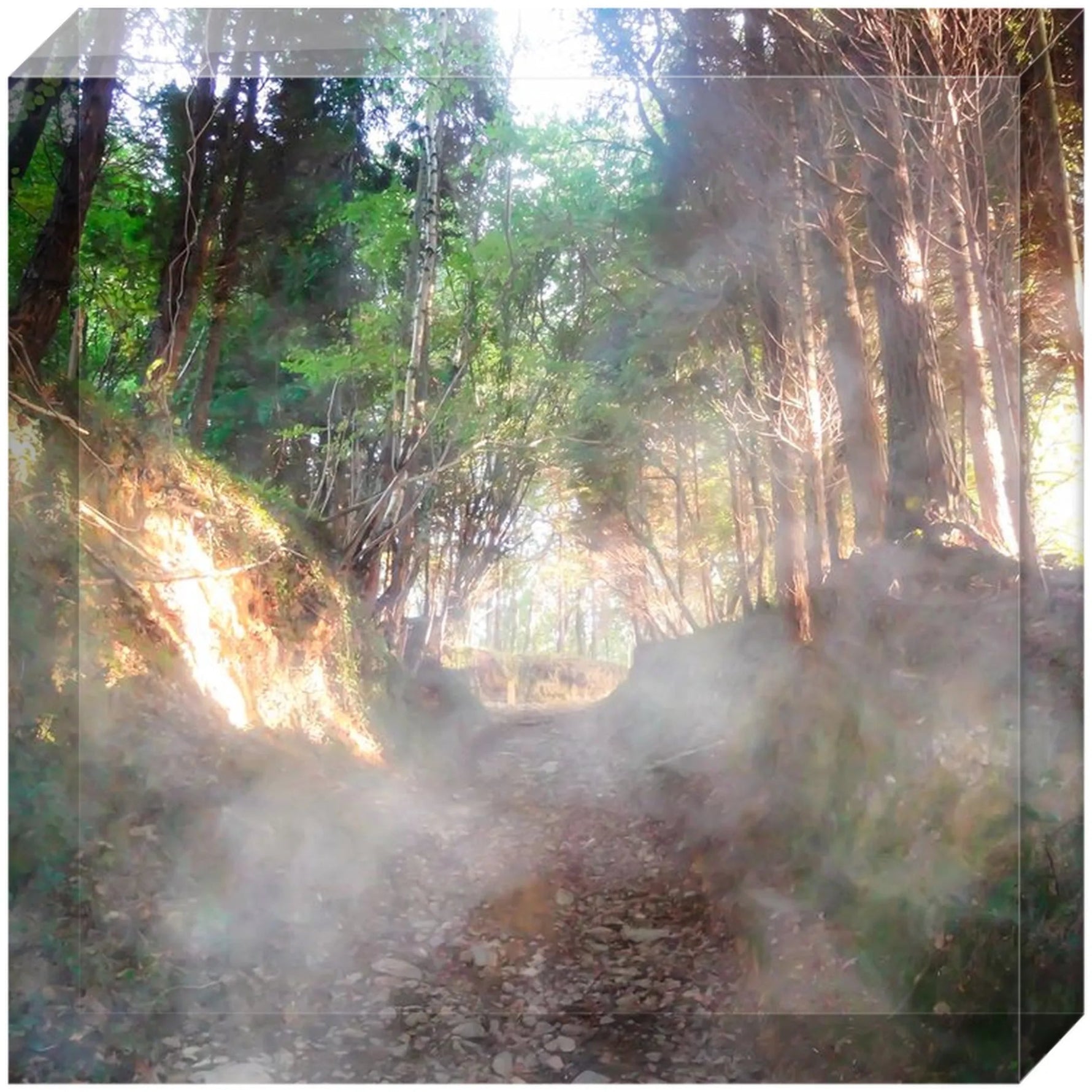 Joseph Regan Art Acrylic Blocks - Pack Of: 1 - AMAZON FACTORY