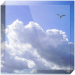 Joseph Regan Art Acrylic Blocks - Pack Of: 1 - AMAZON FACTORY