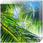 Joseph Regan Art Acrylic Blocks - Pack Of: 1 - AMAZON FACTORY