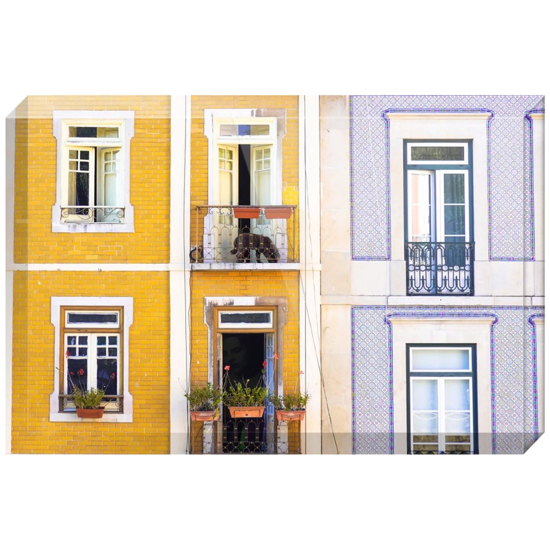 Joseph Regan Art Acrylic Blocks - Pack Of: 1 - AMAZON FACTORY