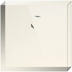 Joseph Regan Art Acrylic Blocks - Pack Of: 1 - AMAZON FACTORY