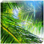 Joseph Regan Art Acrylic Blocks - Pack Of: 1 - AMAZON FACTORY