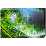 Joseph Regan Art Acrylic Blocks - Pack Of: 1 - AMAZON FACTORY