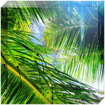 Joseph Regan Art Acrylic Blocks - Pack Of: 1 - AMAZON FACTORY