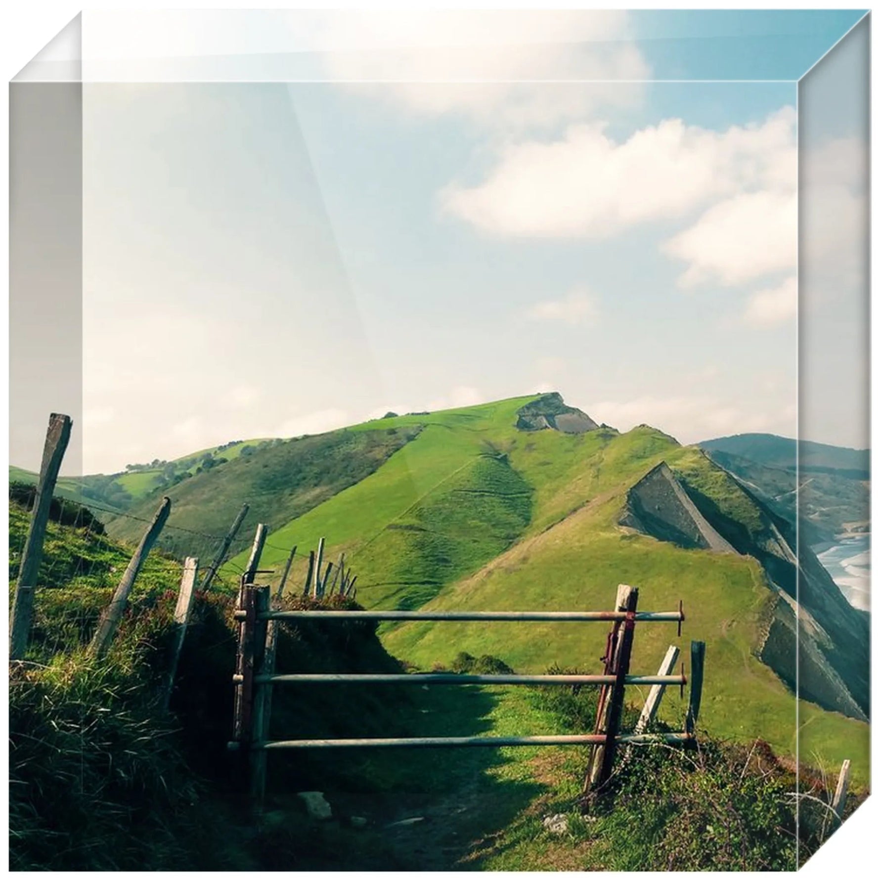 Joseph Regan Art Acrylic Blocks - Pack Of: 1 - AMAZON FACTORY